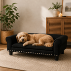 Canapé xl chien velours design