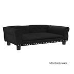 Canapé xl chien velours design