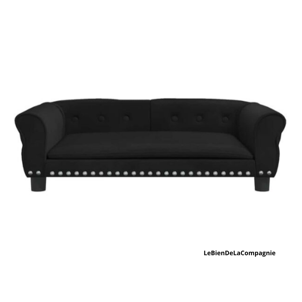 Canapé xl chien velours design