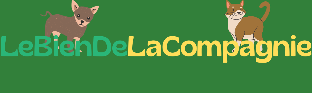 LeBienDeLaCompagnie