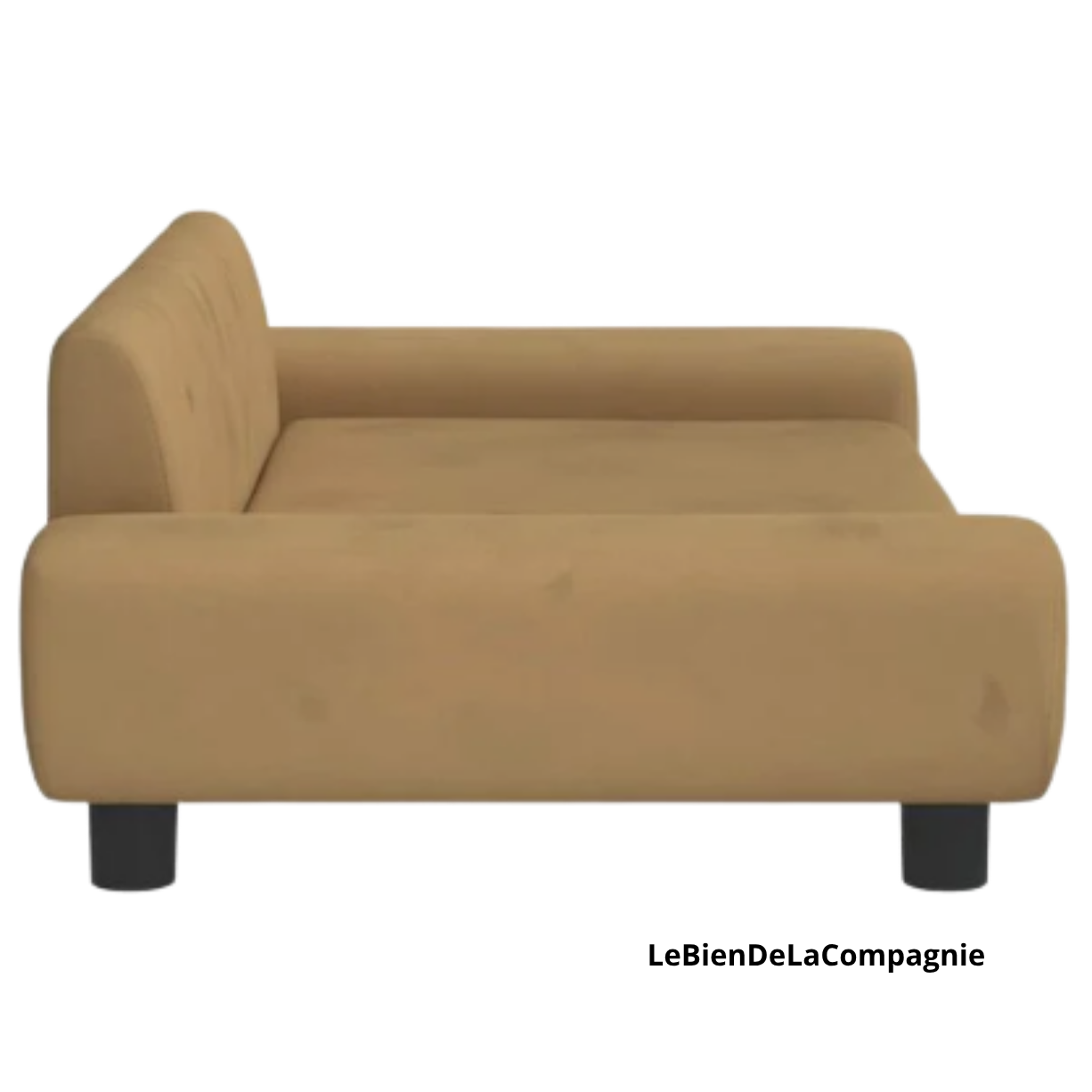 Canapé xl chien velours